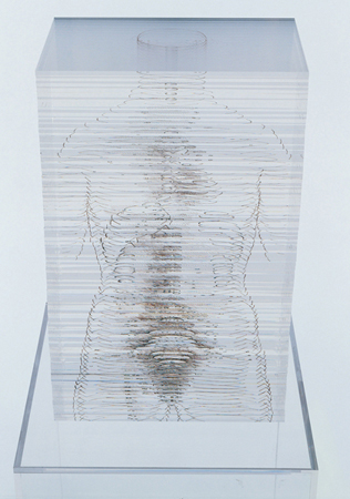 Leonardo's Great Lady - 2006